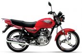 2008 Jianshe Knight JS125-6B photo